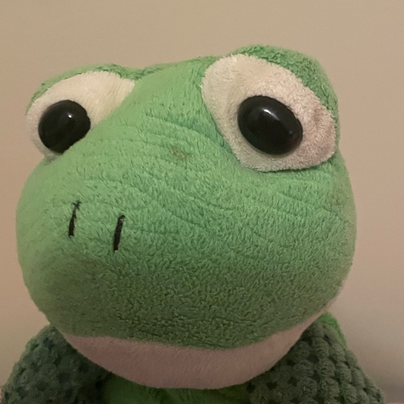 Scentsy Buddy Frog with Amazon Rain scent pack - Picture 2 of 6
